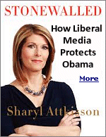 Now that Sharyl Atttkisson is no longer on the CBS payroll, this pit bull is off the leash and tearing flesh off the behinds of media and government officials.
